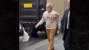 Arnold Schwarzenegger Becomes Santa in The Man with the Bag